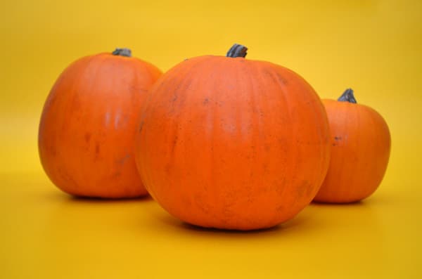 Three blank Halloween Pumpkins in Yellow background