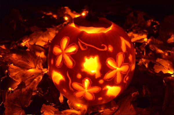 Autumn Pumpkin in Dark on light leaves