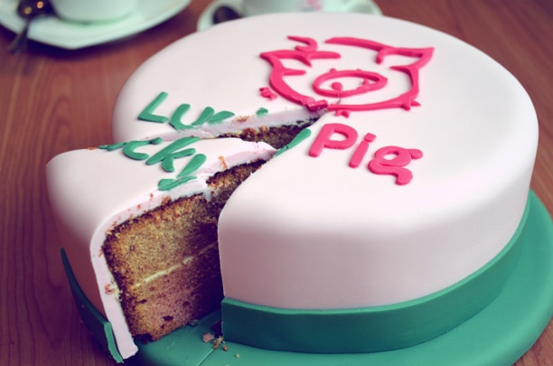 Lucky Pig is 2 years old!